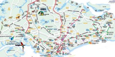 Rutiere hartă din Singapore