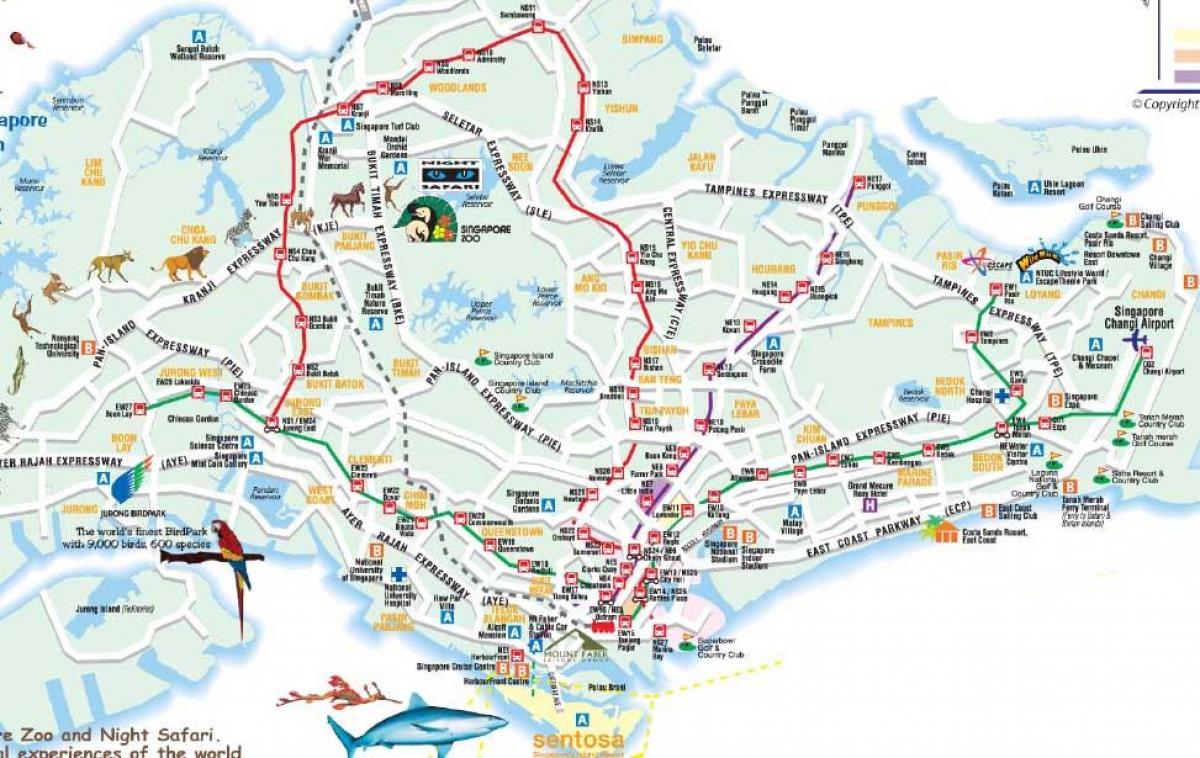 rutiere hartă din Singapore